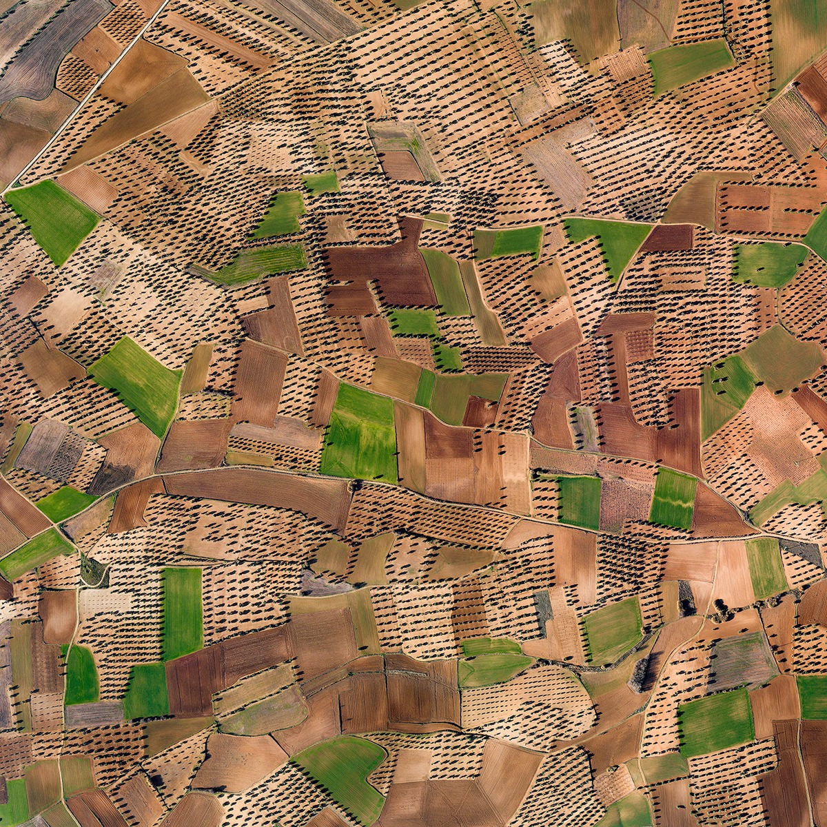 Valdecarábanos - Patterns of alternating olive and wheat fields south of Madrid, in the catchment area of the Cedrone River, where these two crops can withstand extreme drought and high summer temperatures. Huerta de Valdecarábanos, Toledo, Spain. 12/31/2018
Visible width: 1400 m